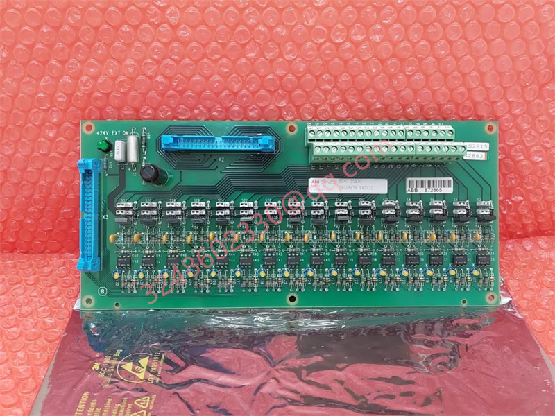 SCYC55870.jpg